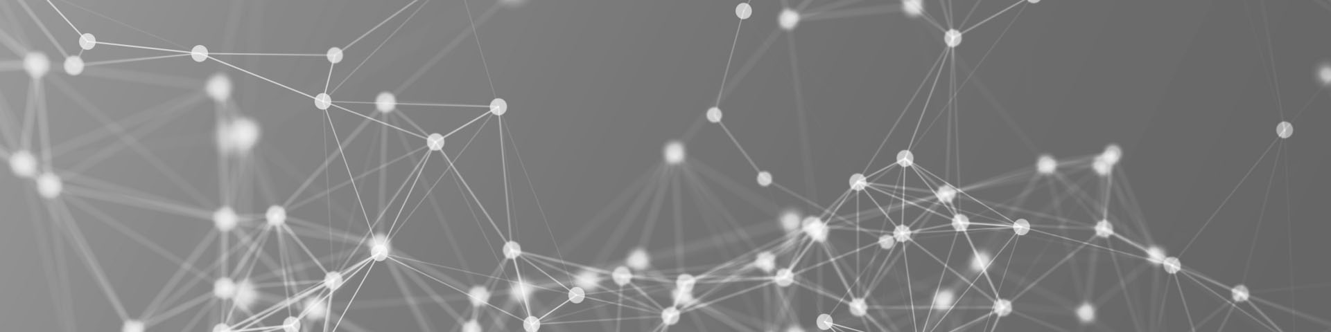 <span class=clsSubHeader>Fortbildung</span>