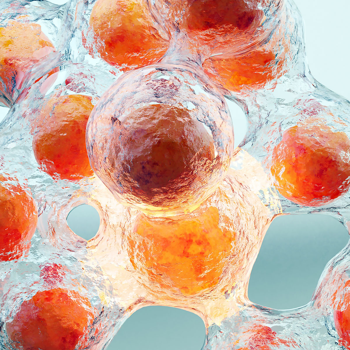 bilder diagnostik fettmessung 1