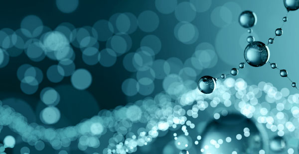 DG-ES - Wissenschaft