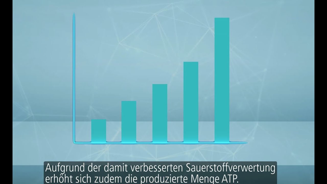 Youtube Vorschau - Video ID Jy7hyuFmi1w